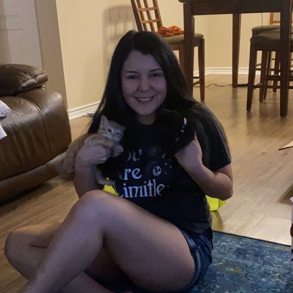 Meet your Posher, Jamiless